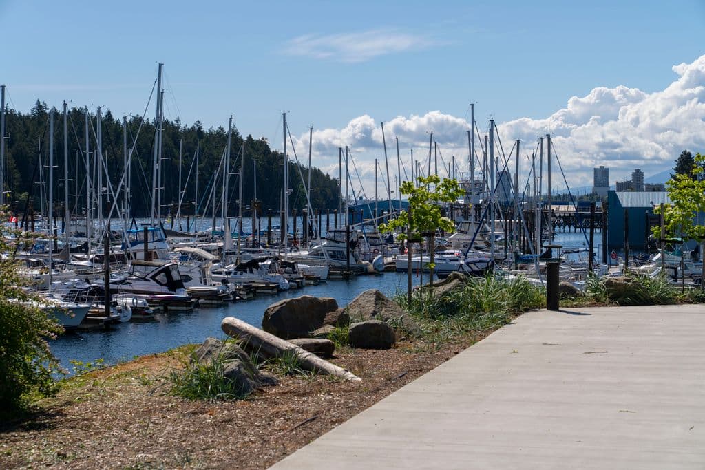 Sailboats docked in a marina beside a concrete walkway, with a forested hill behind.